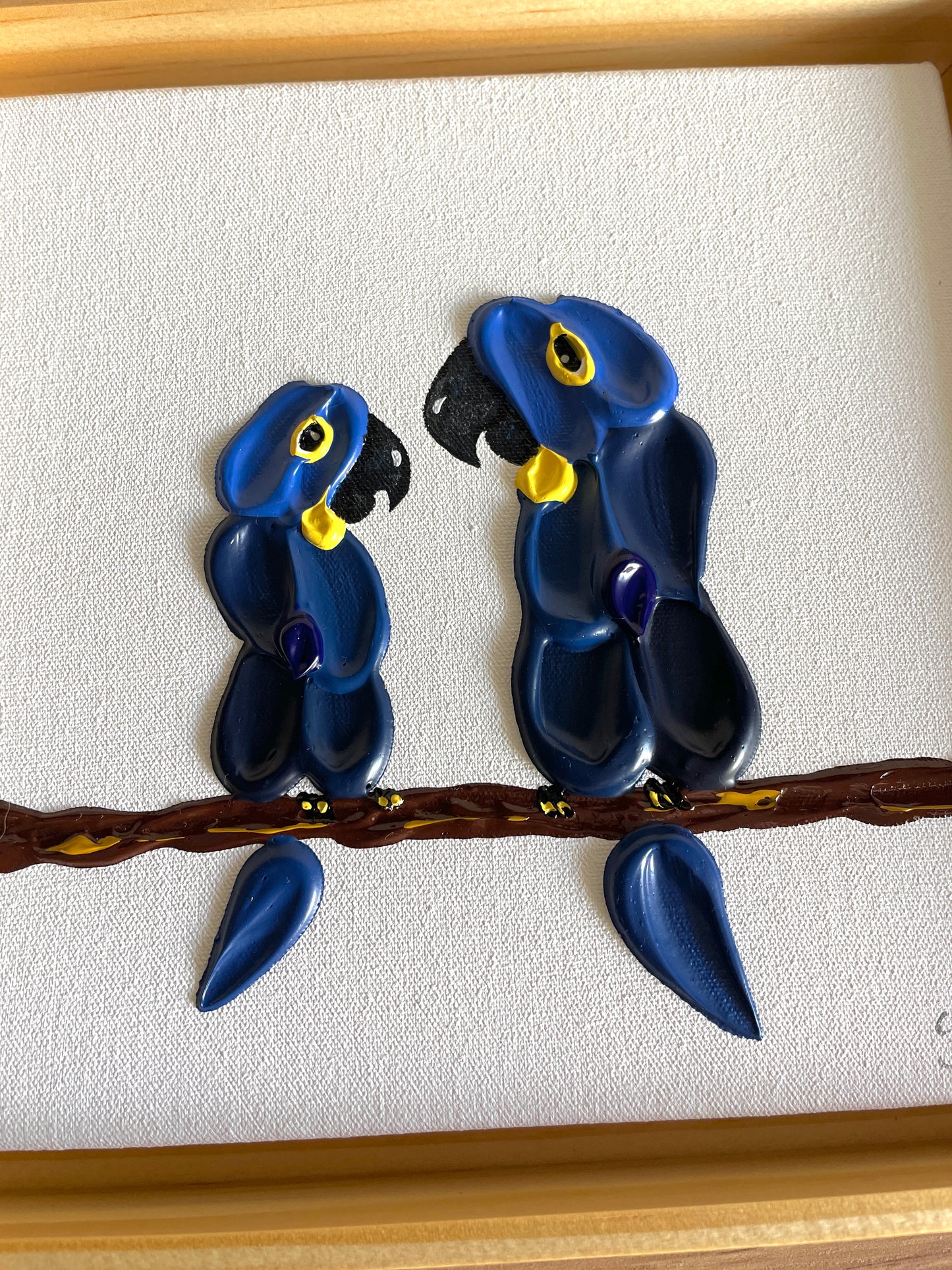 Dupla Arara Azul
