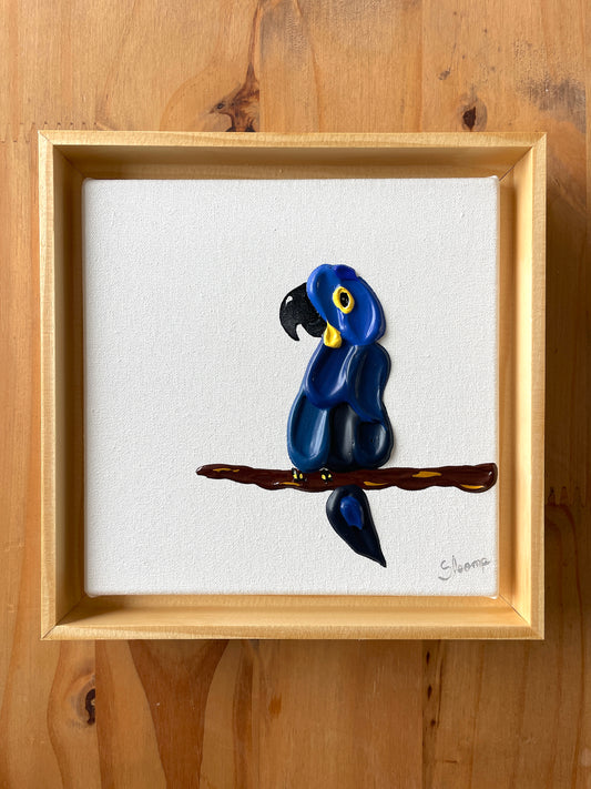 Arara Azul